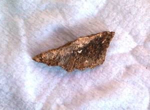 rear of fragment